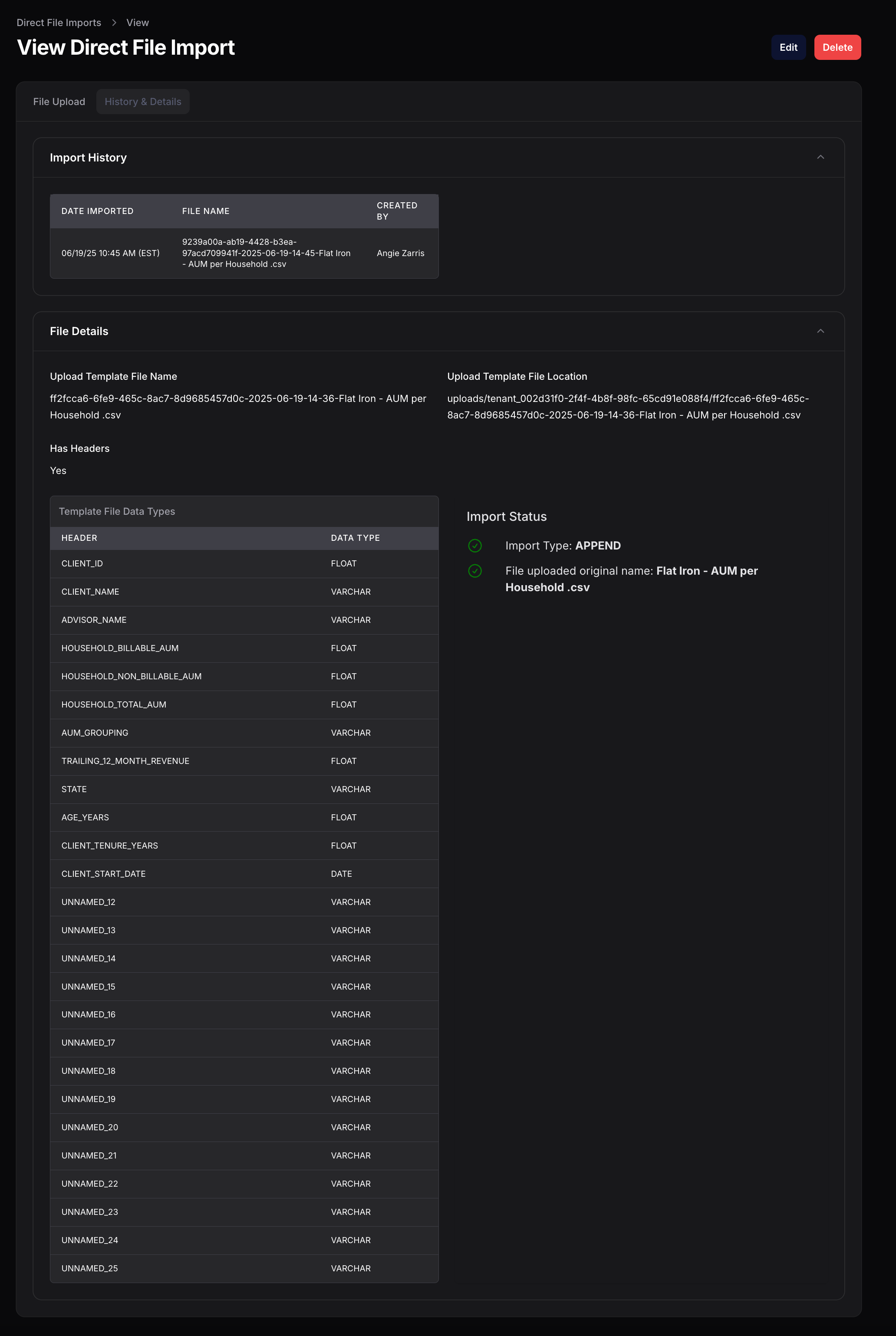 View Direct File Import - History & Details tab